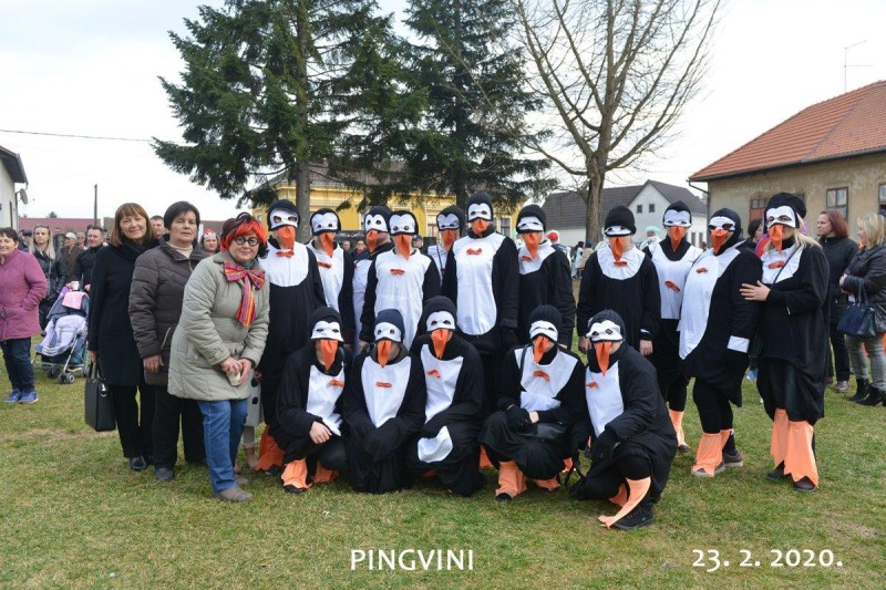 foto/2020 pingvini