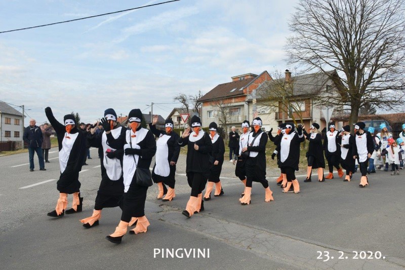 foto/2020 pingvinii