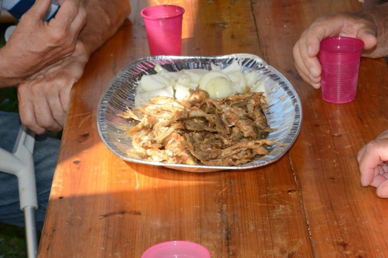 foto/bart232608_-18-_26.8.2023-R3IJHIZDDTDGOM0KG3GU