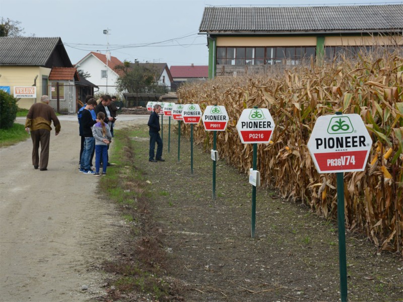 foto/danipolja102014b