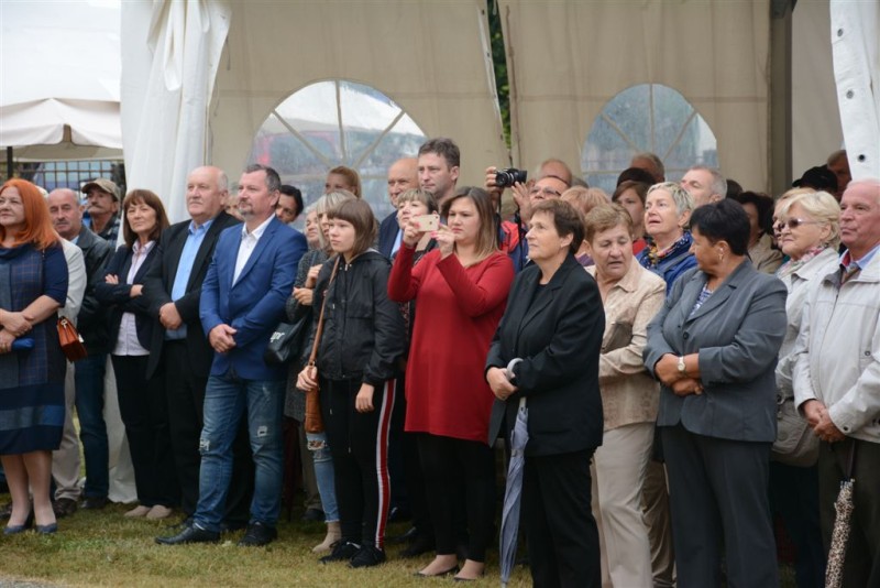 foto/dk2018zh