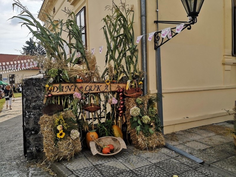 foto/dlf092019b