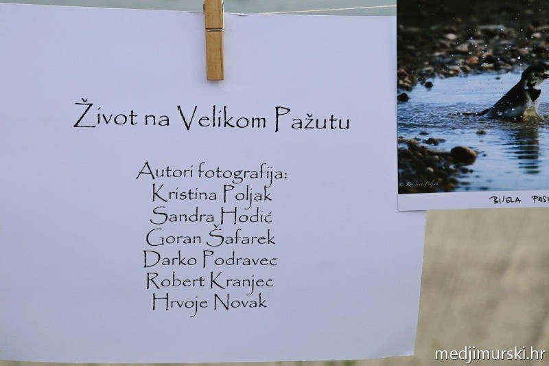 foto/dsnt0506_-7-_5.6.2026-TVNTG70SP669HAOJKNA5