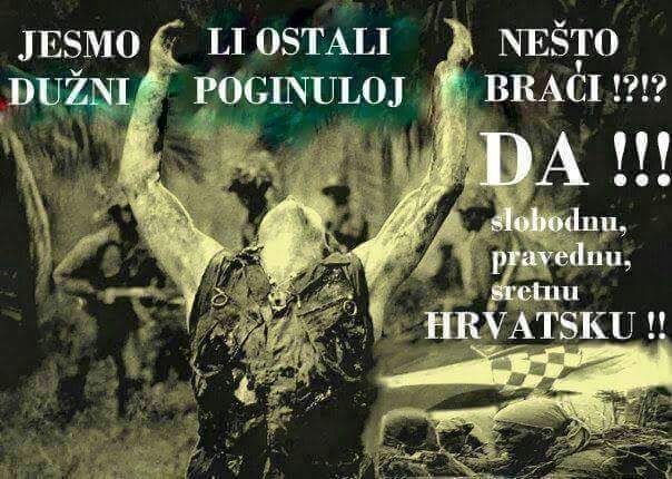 foto/fotozivizid