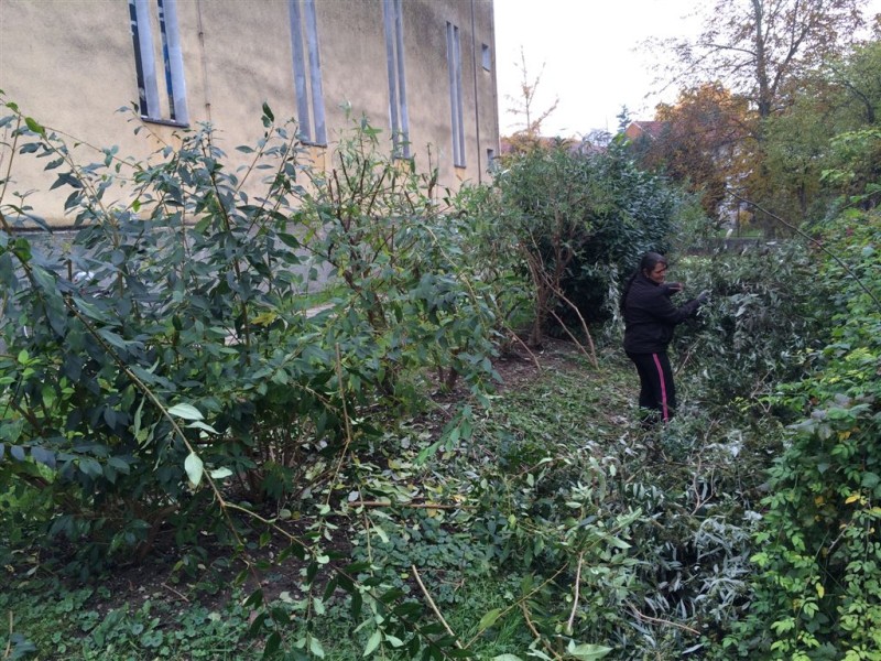 foto/jesenje102015h