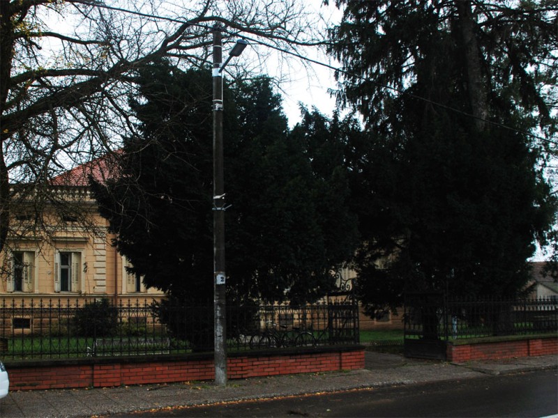 foto/ledrasvjeta112013b