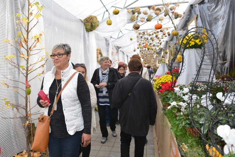foto/ljub102017f