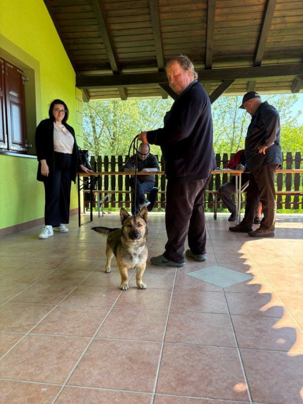 foto/medji1705_-10-_17.5.2026-IAUW9JQJSYVCTK3PX1H6