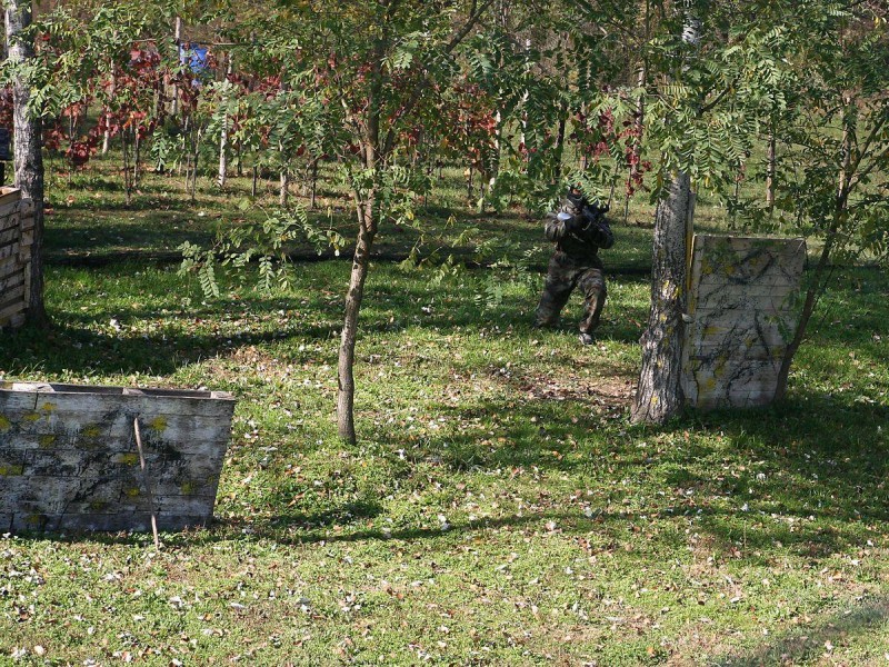 foto/pozoj102013b