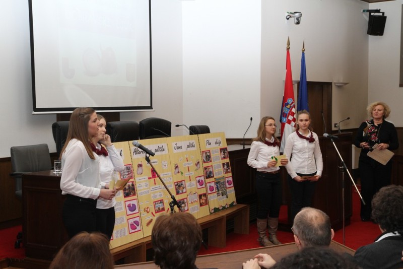 foto/saborluk122014a