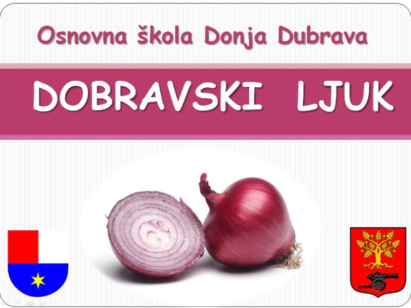 foto/saborluk122014d