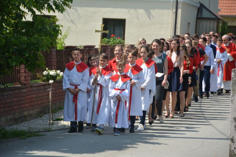 foto/svp052018a