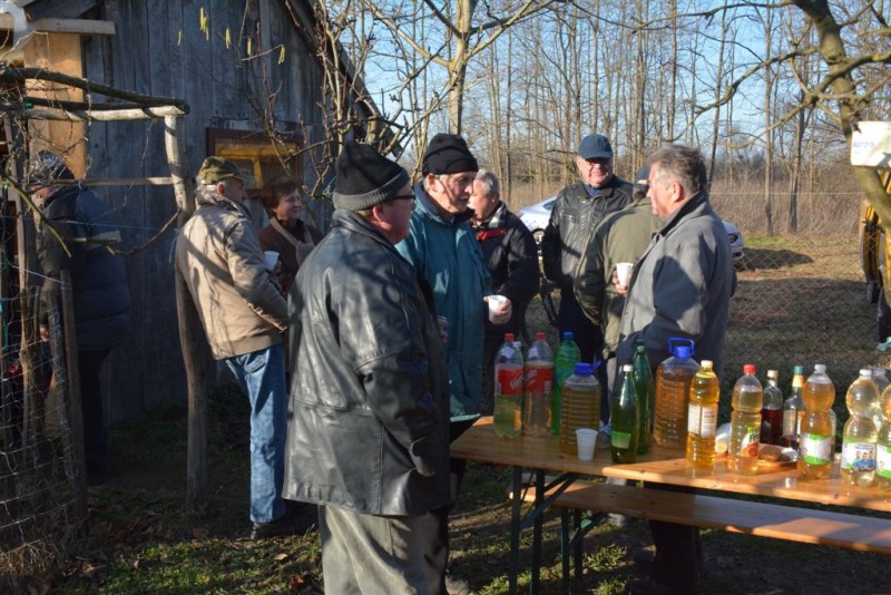 foto/vincekovo2018d