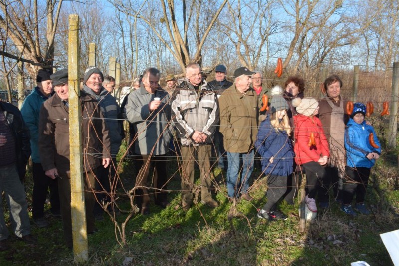 foto/vincekovo2018l