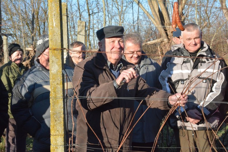 foto/vincekovo2018u