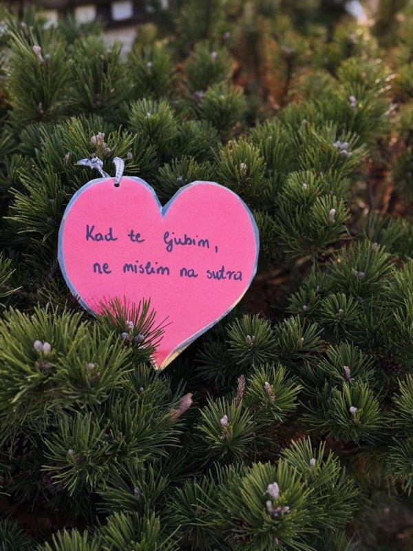 foto/vl0702_-2-_7.2.2025-F2S4DQHC4HKCNN4PQ5H8