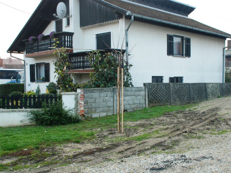 foto/zelena112013e